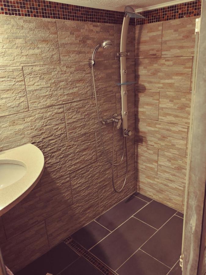 Appartment De Luxe Mit Sauna Брауншвайг Екстериор снимка